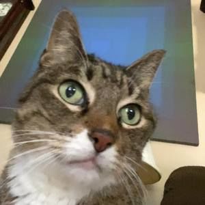 Meet your Posher, Teresa